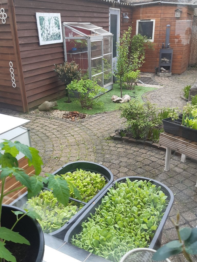 Tuinkas, Tuin en Terras, Kassen, Ophalen, Muurkas, Aluminium, Polycarbonaat