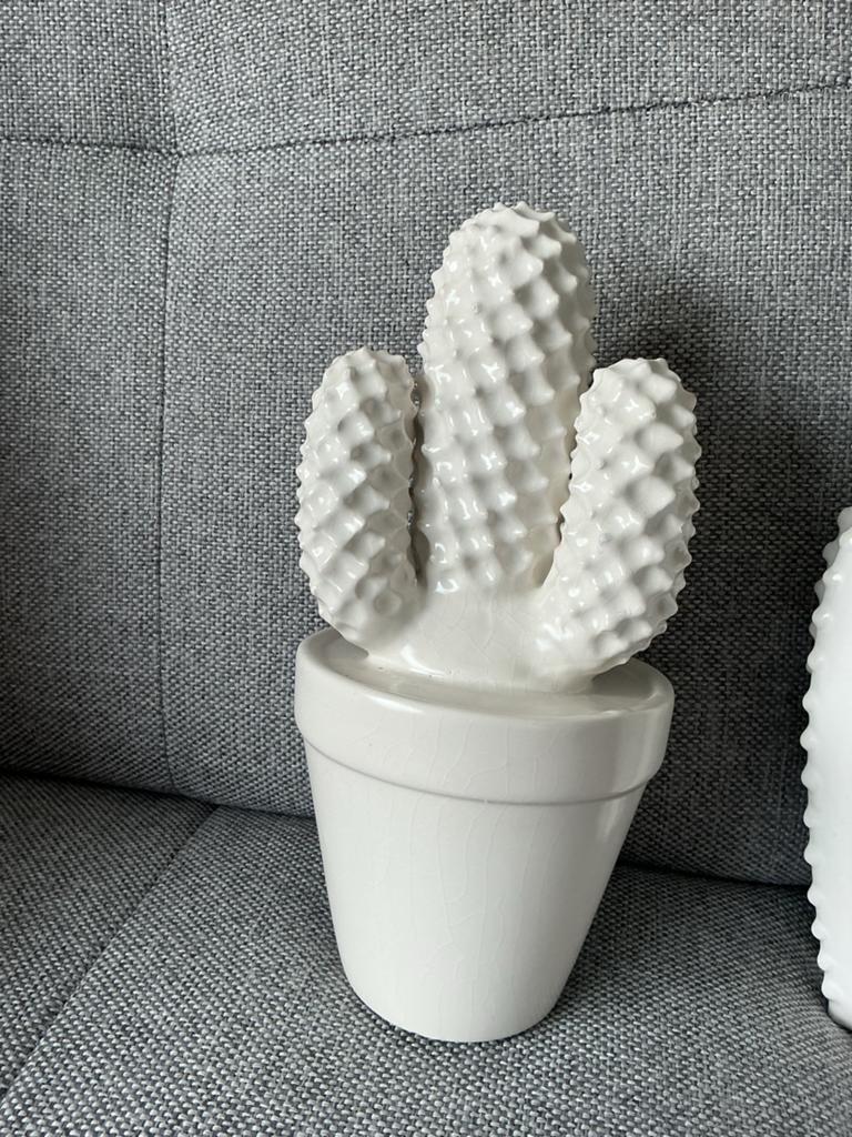 Decoratieve Witte Keramische Cactus, Ophalen of Verzenden, Zo goed als nieuw, Modern, Wit