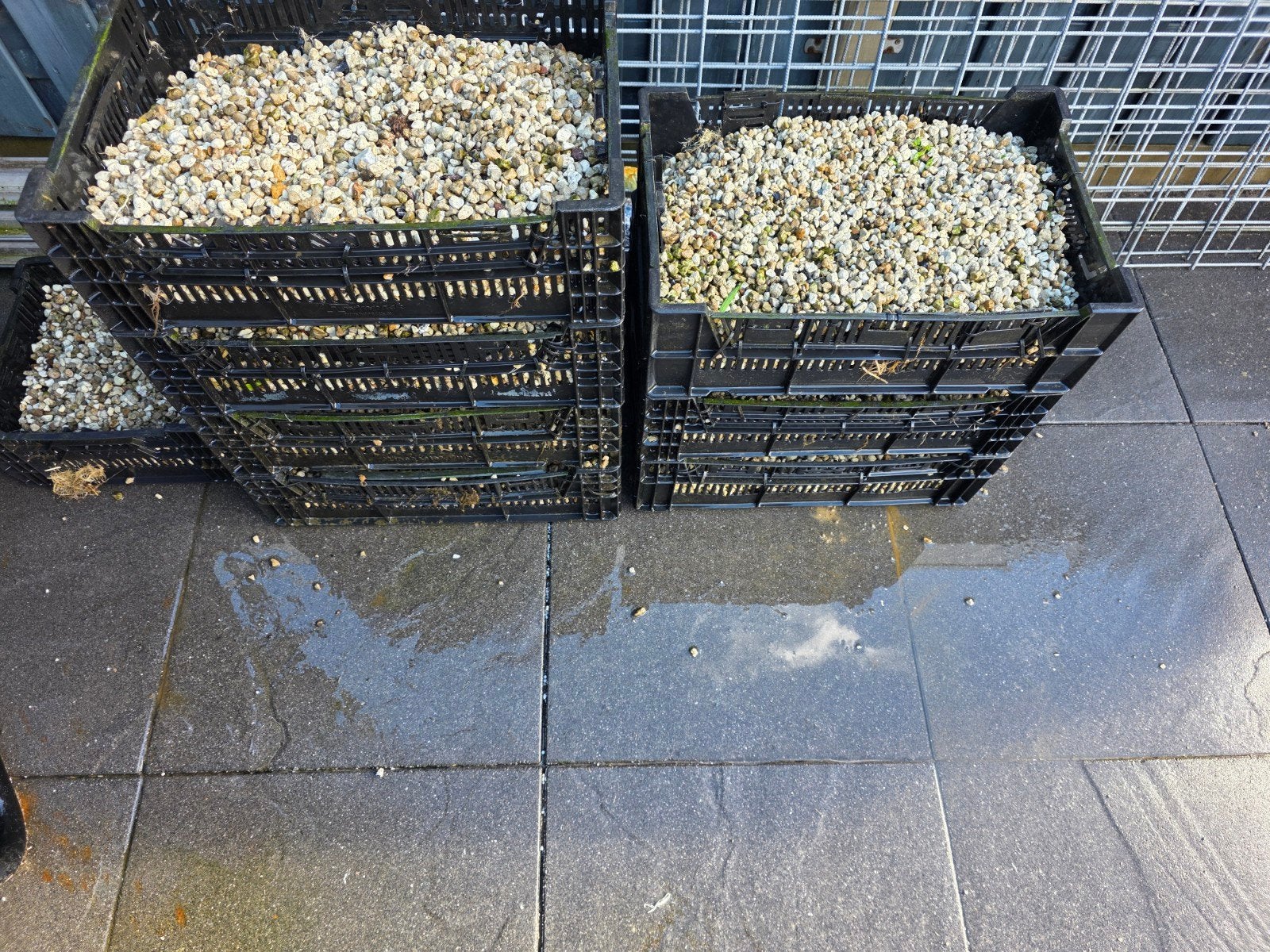 velda vijversubstraat ongeveer 200liter, Tuin en Terras, Ophalen, Overige soorten, Volle zon
