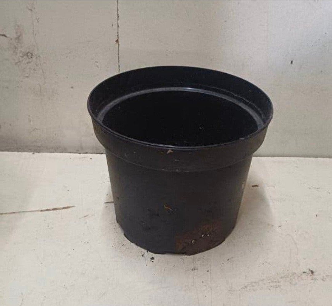 kweekpotten plantenpotten bloempotten 5 liter, Kunststof, Gebruikt, Rond, Ophalen of Verzenden