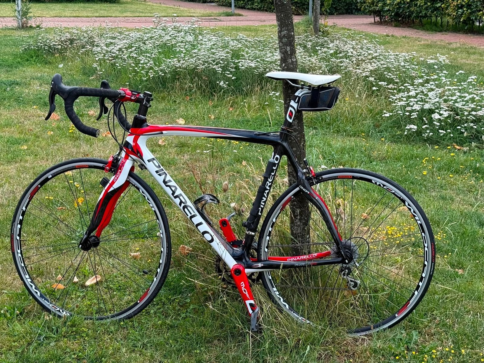 Pinarello racefiets met Campagnolo Athena onderdelen, Gebruikt, Carbon, Velgrem, Ophalen