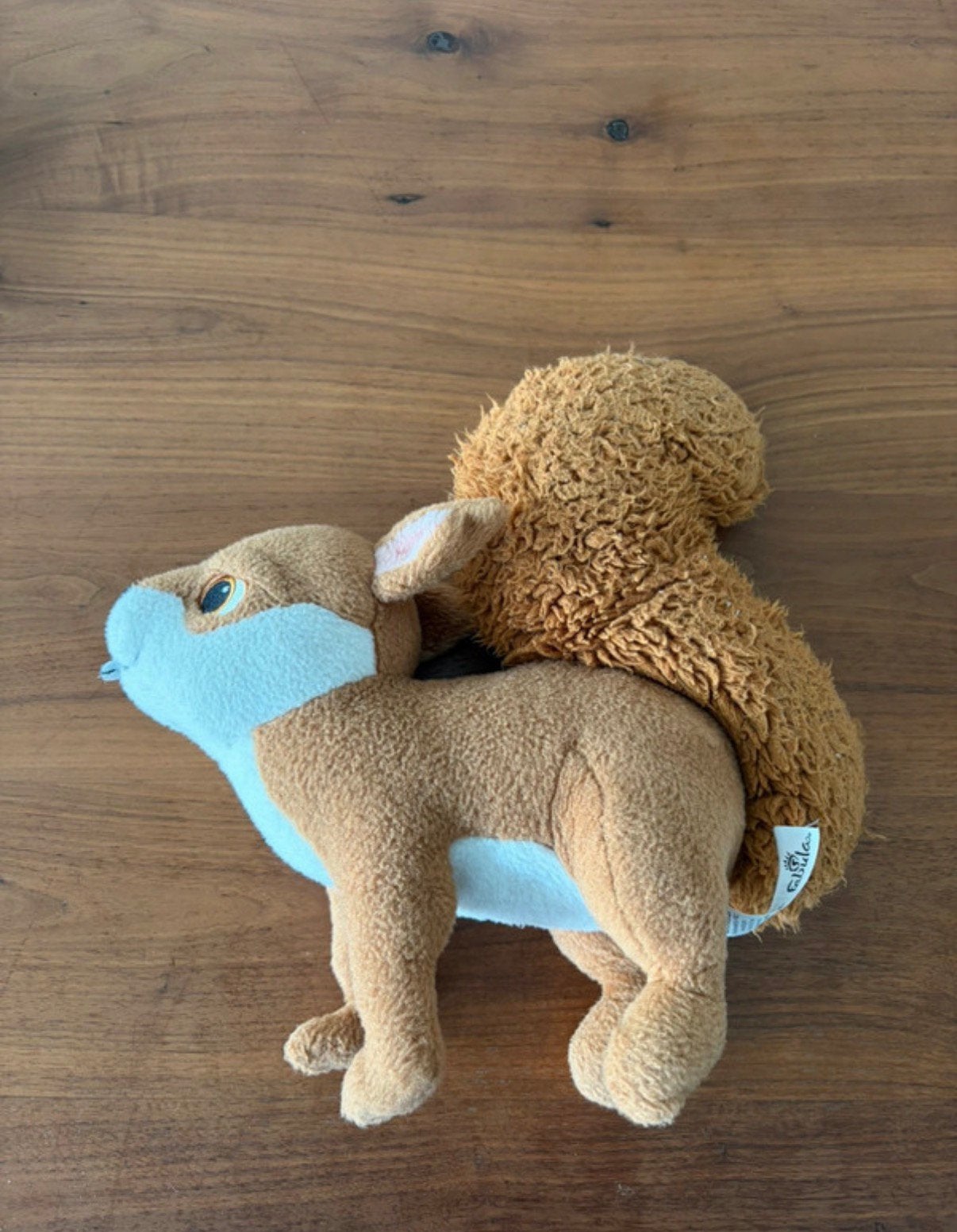 Efteling knuffel eekhoorn Fabula €3, Oranje, Overige typen, Ophalen of Verzenden, Zo goed als nieuw