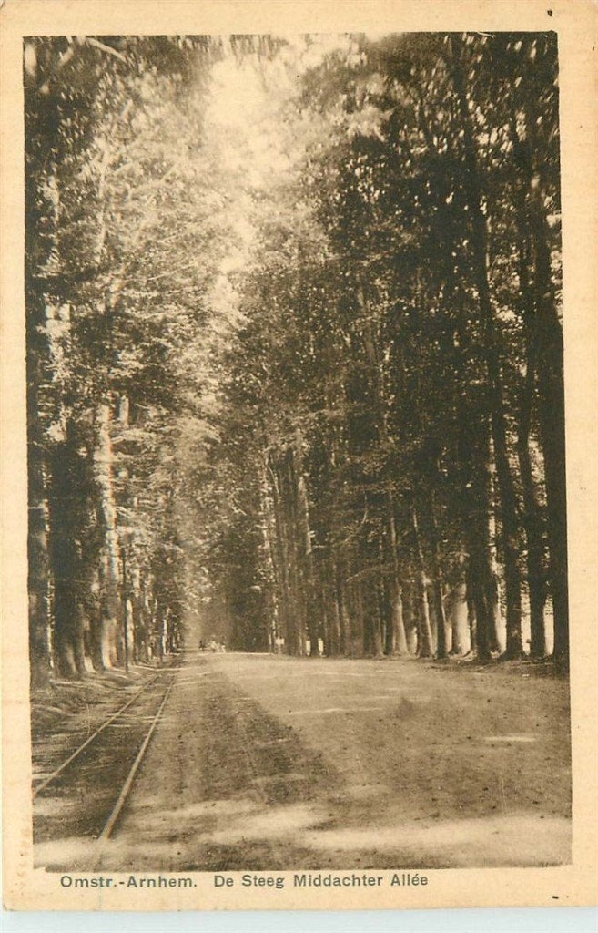 701-189-047 De Steeg Middachter Allee, Verzamelen, Ansichtkaarten | Nederland, Verzenden, Voor 1920, Gelderland