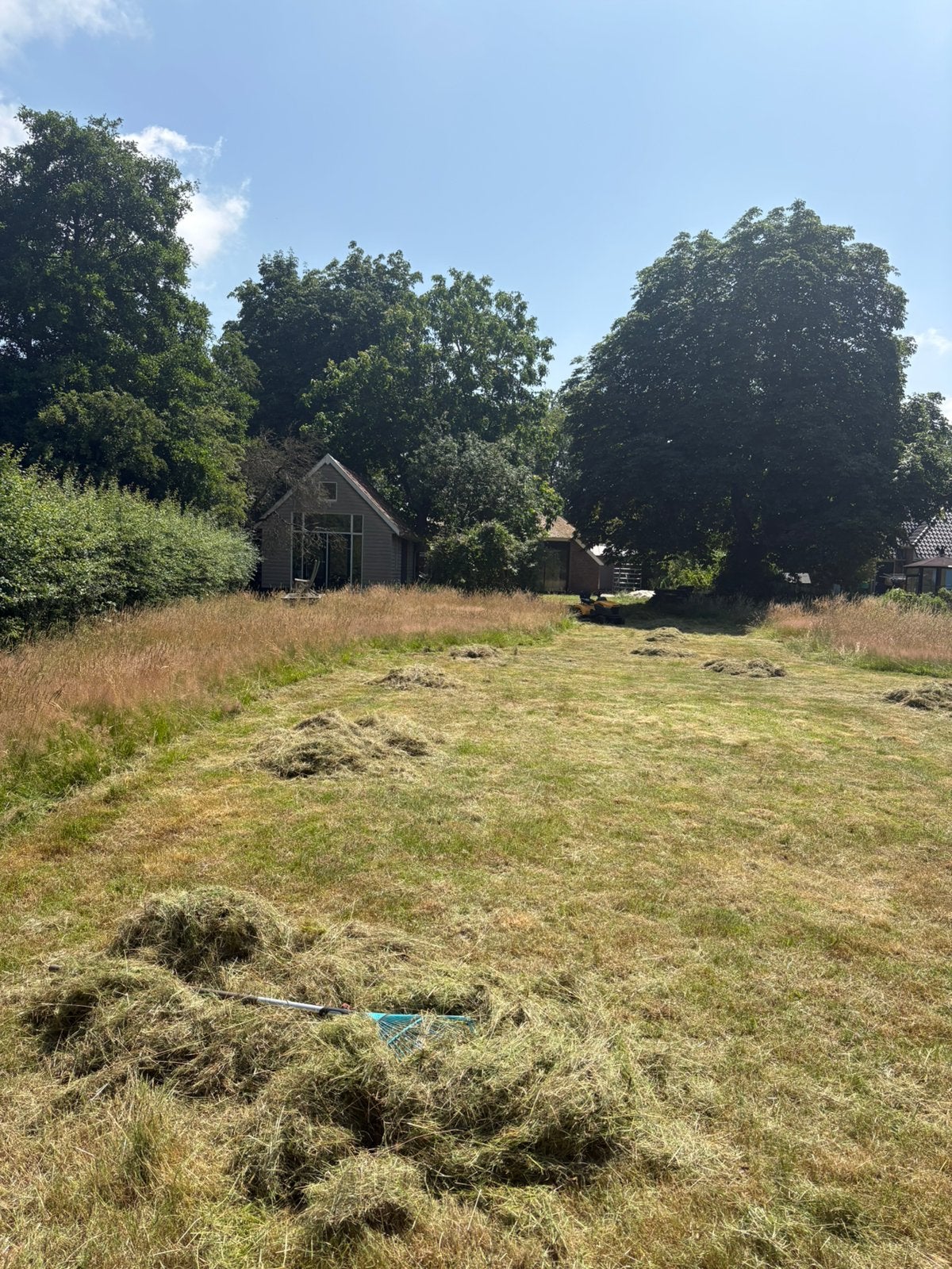 Twintig bulten vers gemaaid gras gratis op te halen in Haren, Dieren en Toebehoren, Stalling en Weidegang