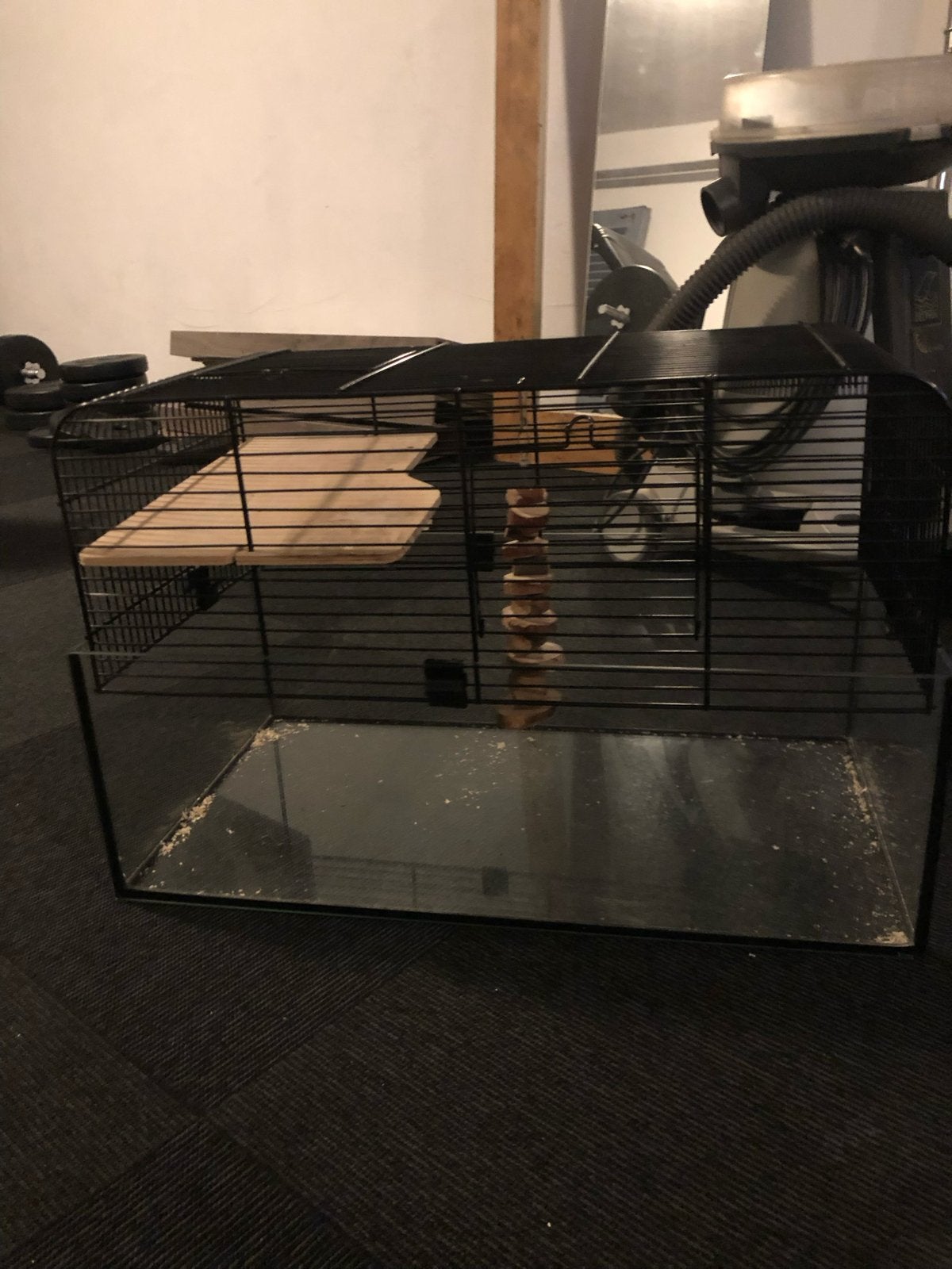 Hamster kooi + spullen, Ophalen, Zo goed als nieuw, Loopwiel of Rad