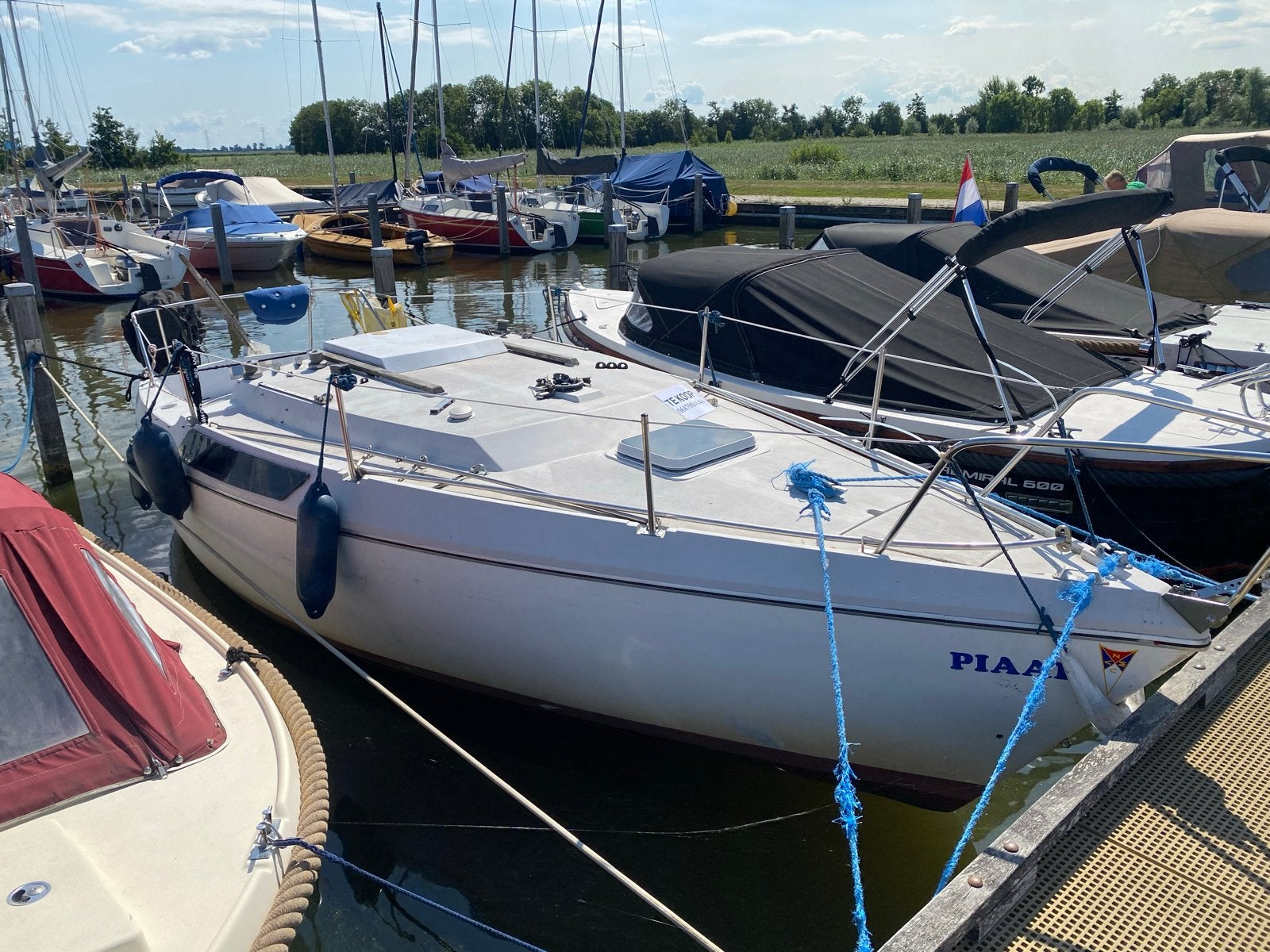 Jeanneau Brio Zeilboot met Nieuw Zeil en Honda 10 PK Motor, Gebruikt, Jeanneau, Kleine kruiser, Ophalen of Verzenden