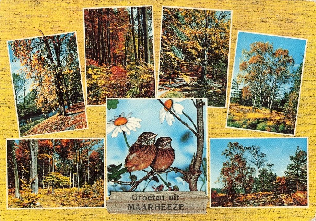Groeten uit Maarheeze, Ophalen of Verzenden, 1980 tot heden, Gelopen, Noord-Brabant