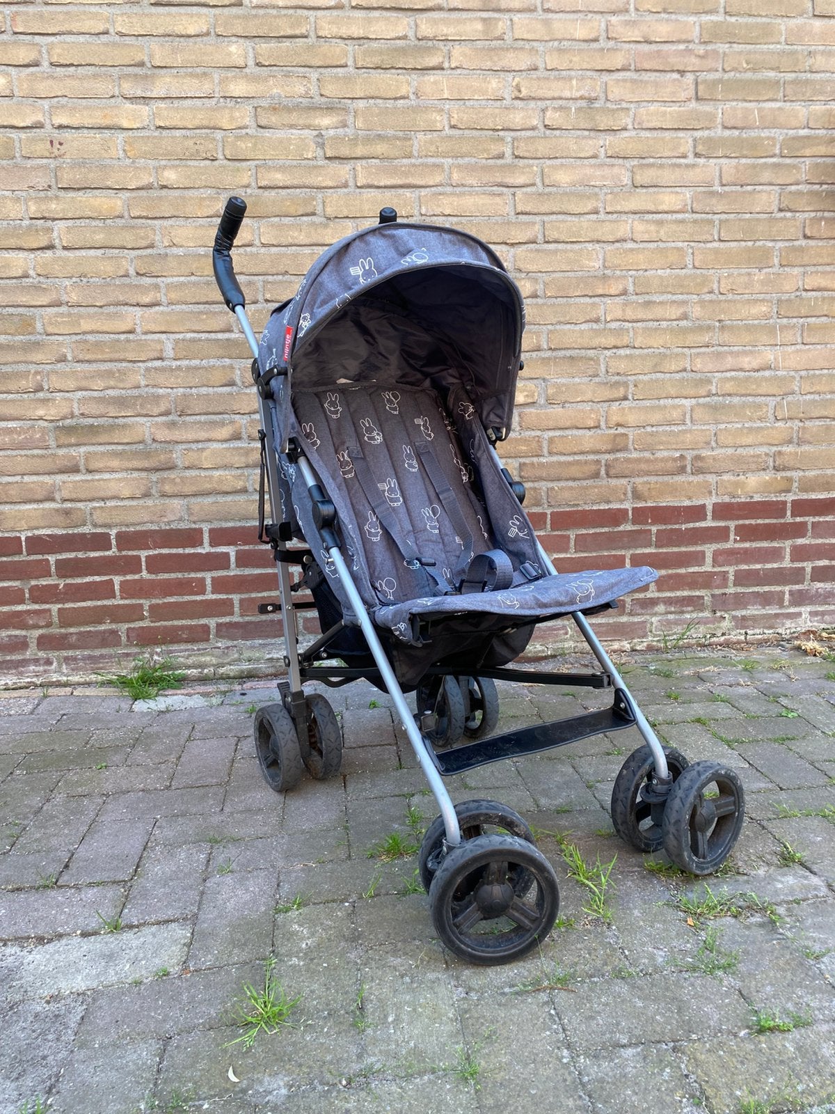 Nette Nijntje buggy, Kinderen en Baby's, Buggy's, Ophalen, Zo goed als nieuw, Overige merken, Zonnekap