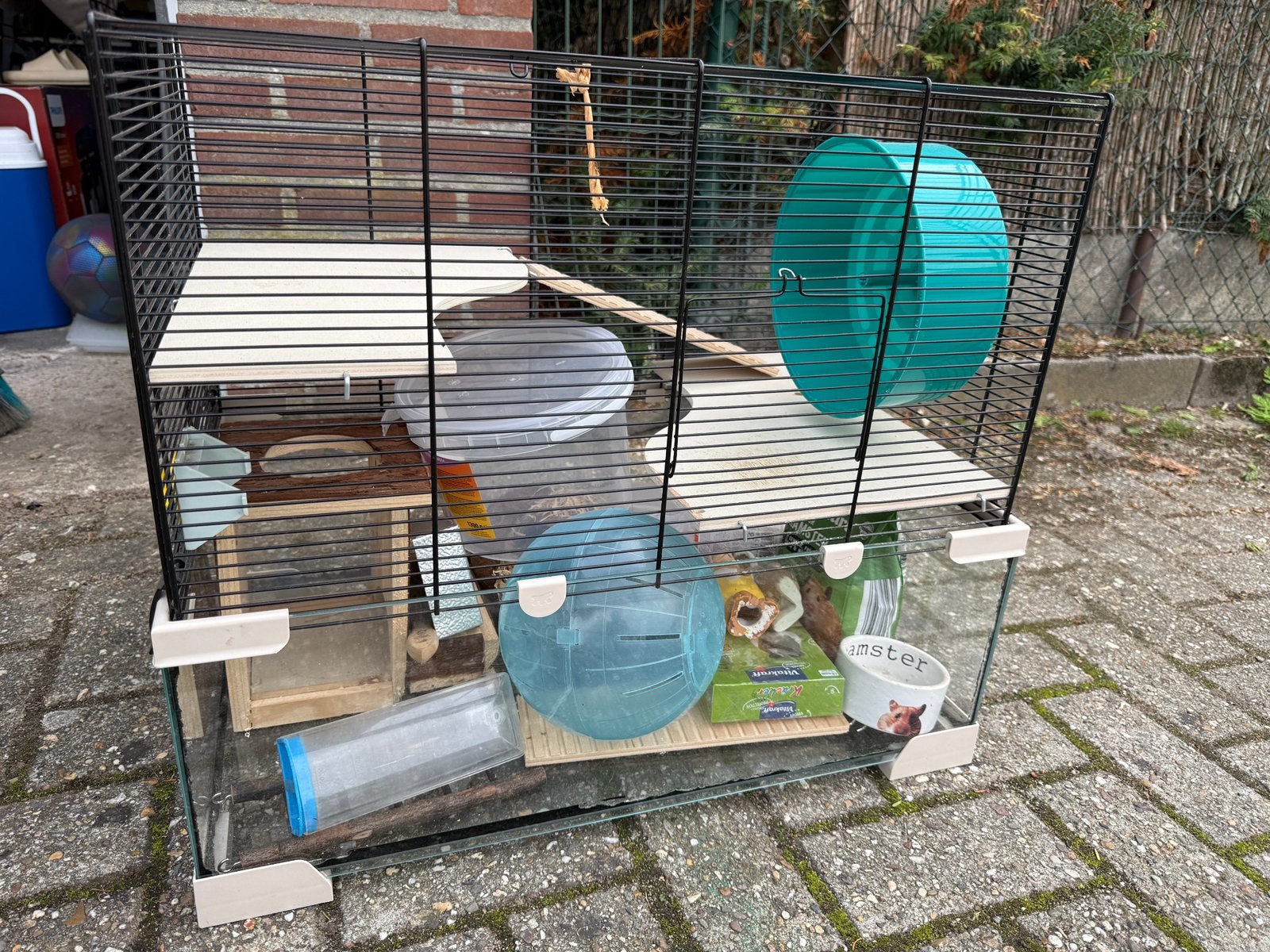 Glazen hamsterkooi, Kooi, Minder dan 75 cm, Zo goed als nieuw, Ophalen