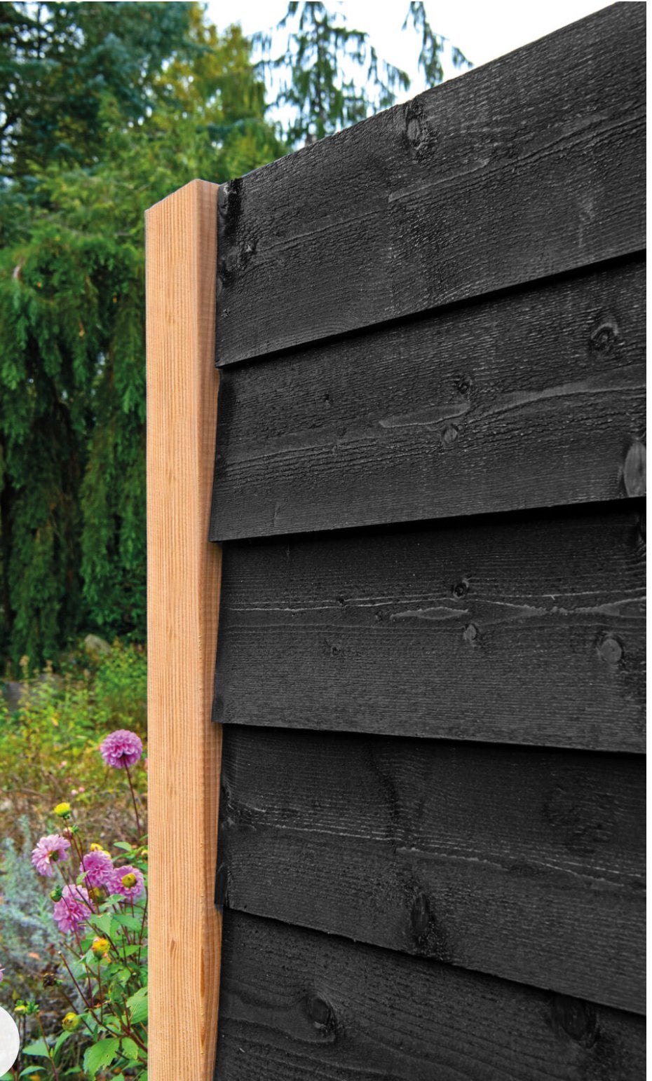 Douglas Zweeds Rabat | DUBBEL GESPOTEN! | —> Herfstdeal <—, Ophalen of Verzenden, Nieuw, 250 cm of meer, Planken