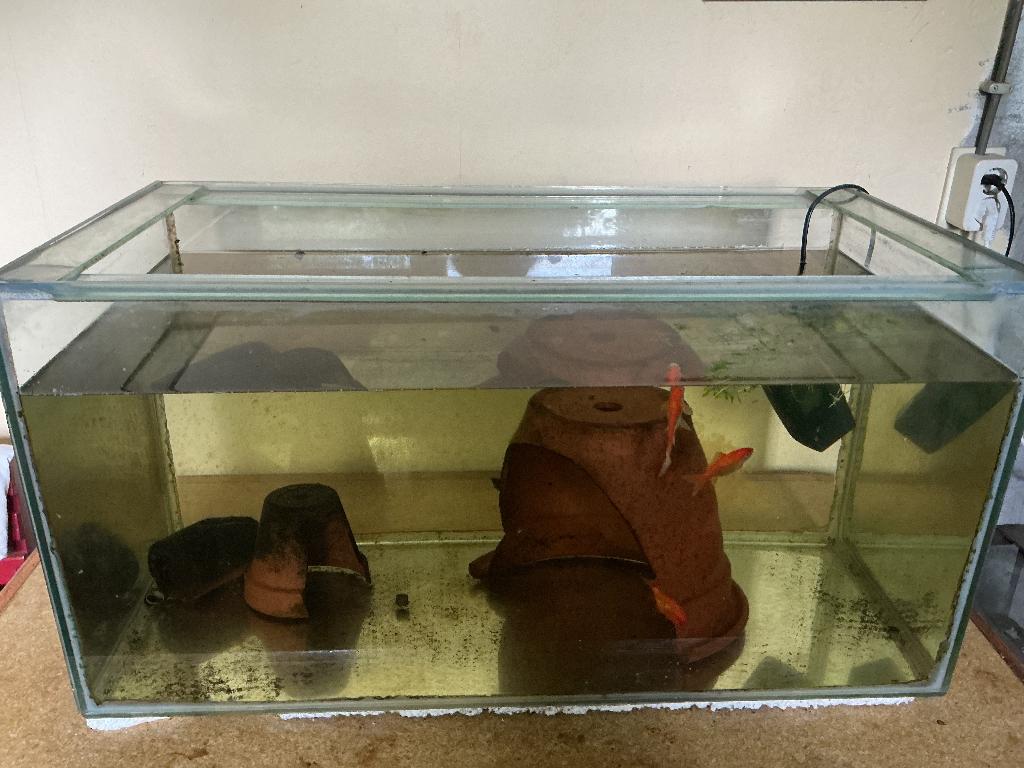 Aqarium, Ophalen, Gebruikt, Overige merken, Gevuld zoetwateraquarium