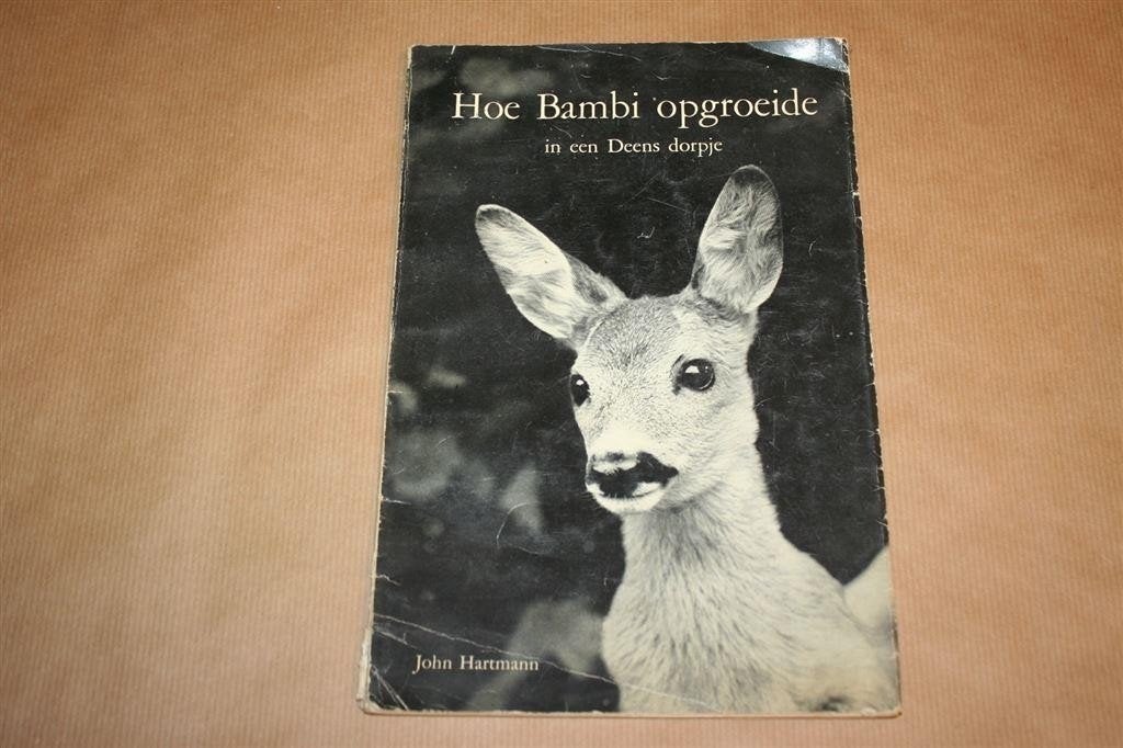 Hoe Bambi Opgroeide in een Deens Dorpje — Vintage 1954 Fotos, Ophalen of Verzenden, Gelezen