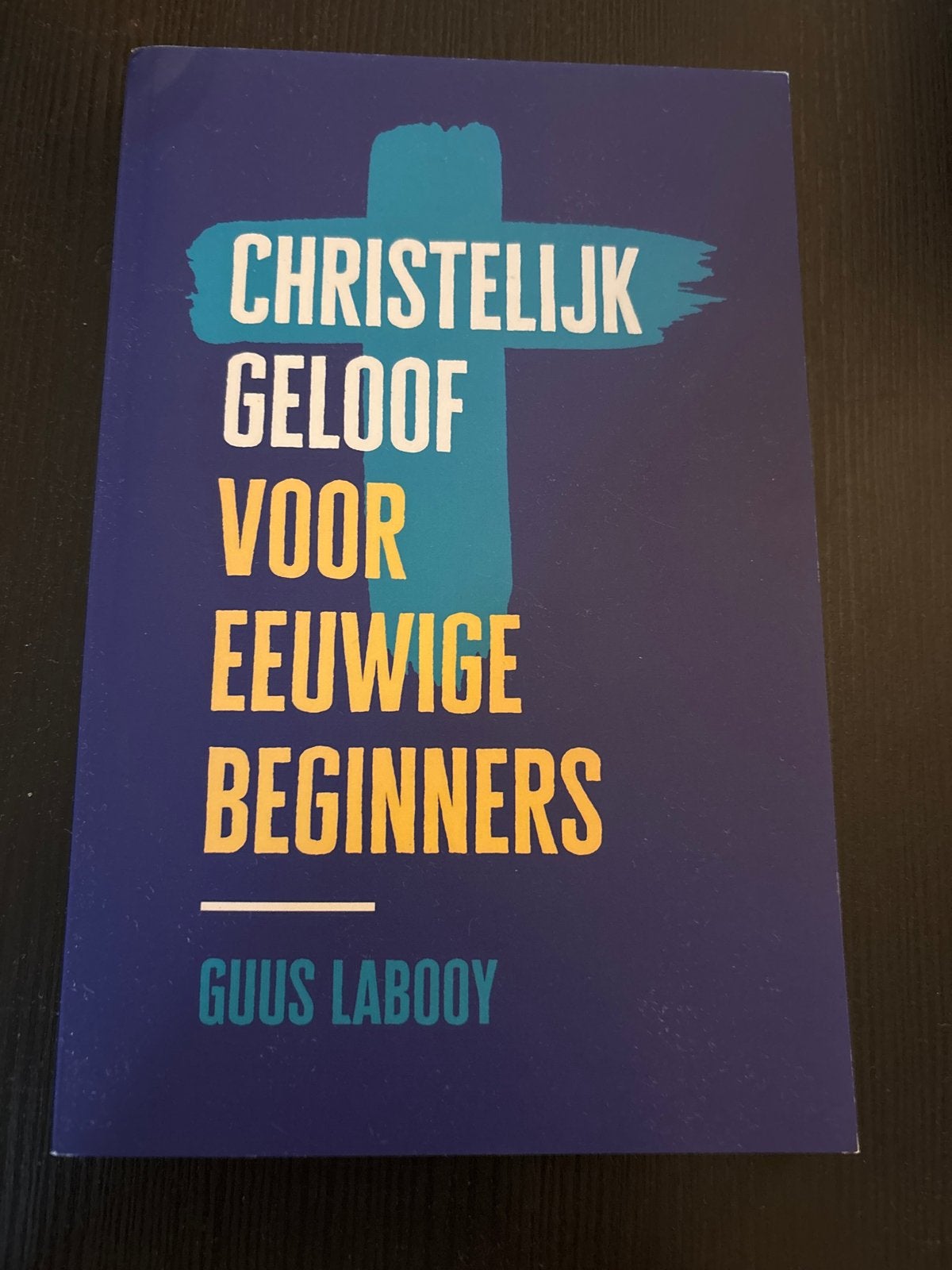 Christelijk Geloof voor Eeuwige Beginners - Guus Labooy, Boeken, Ophalen of Verzenden, Zo goed als nieuw, Christendom | Protestants