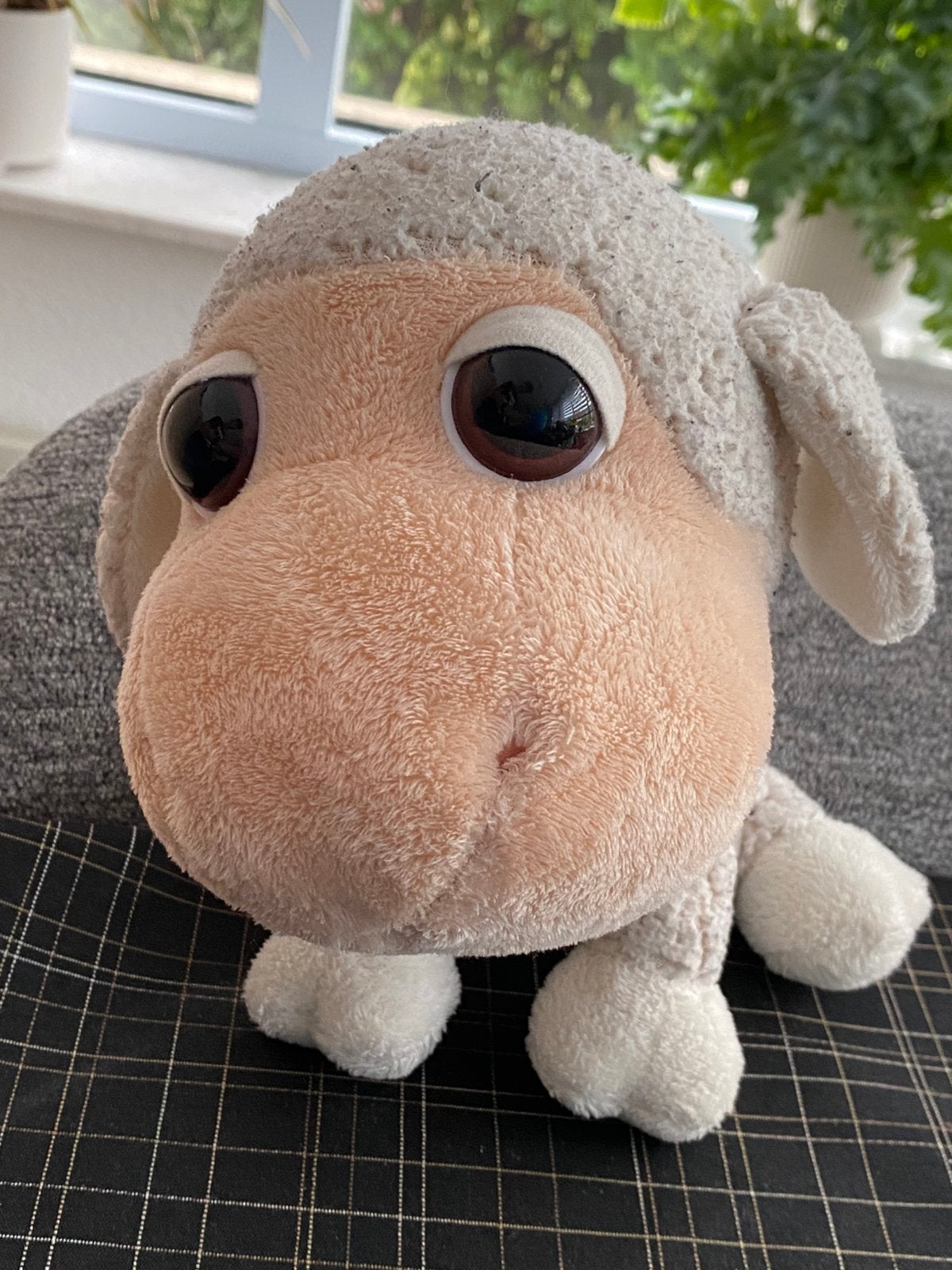 Schaap knuffel van 25 cm, Textiel, Ophalen of Verzenden, Zo goed als nieuw, Wit