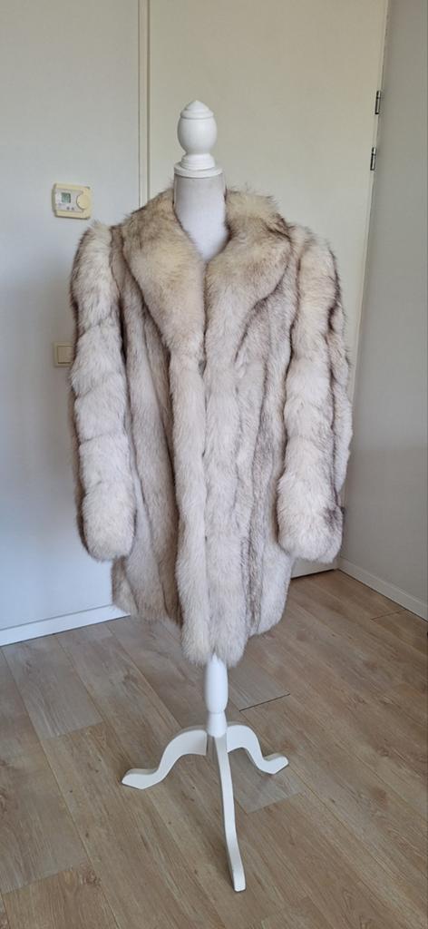 Bontjas blauwvos saga fox maat L, Maat 38/40 (M), Overige kleuren, Ophalen of Verzenden, Saga Fox