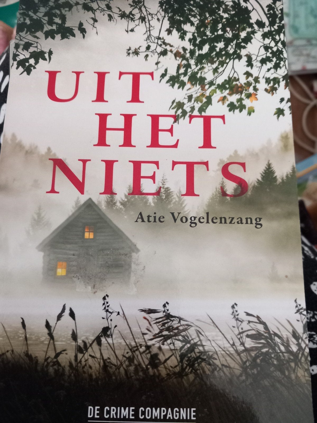 Atie Vogelenzang - Uit het niets, Boeken, Ophalen of Verzenden, Zo goed als nieuw, Atie Vogelenzang