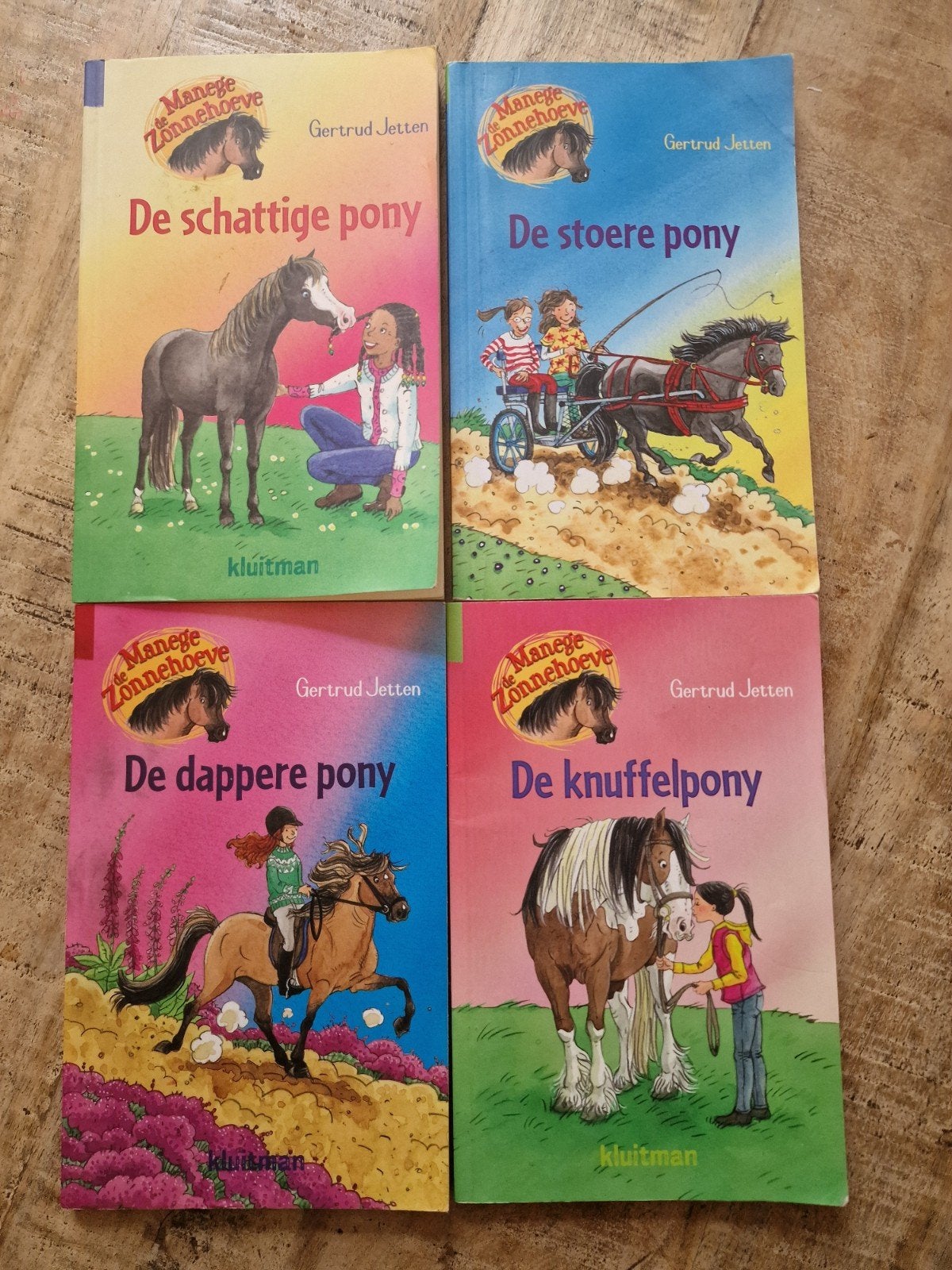 4 pocket Manege Zonnehoeve boeken - 4 -delige set, Ophalen of Verzenden, Gelezen, Gertrude Jetten, Fictie algemeen