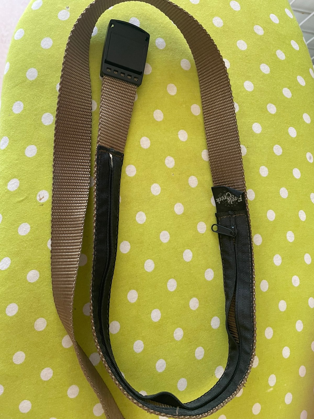 Moneybelt, geldriem, Eagle Creek, Ophalen of Verzenden, Nieuw, Bruin, Overige merken