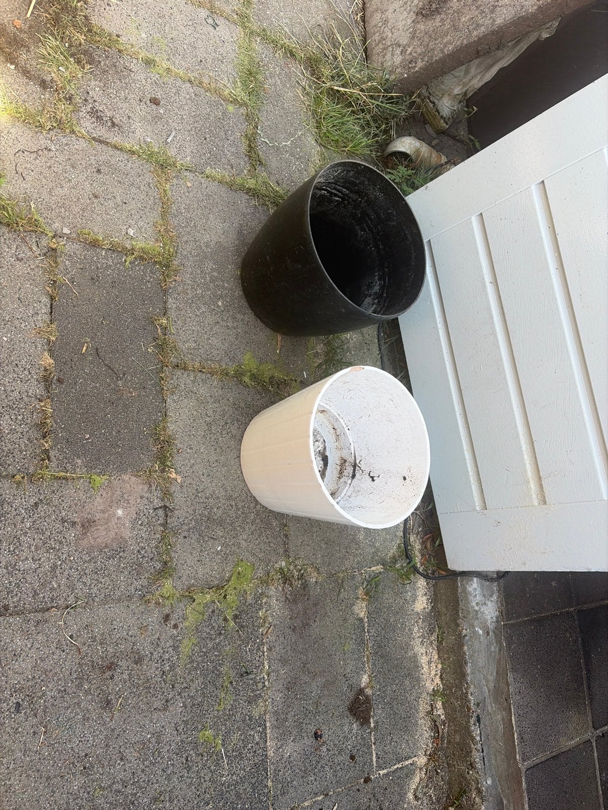 Twee gebruikte plantenpotten, nog in prima staat, Ophalen, Kunststof, Gebruikt, Rond