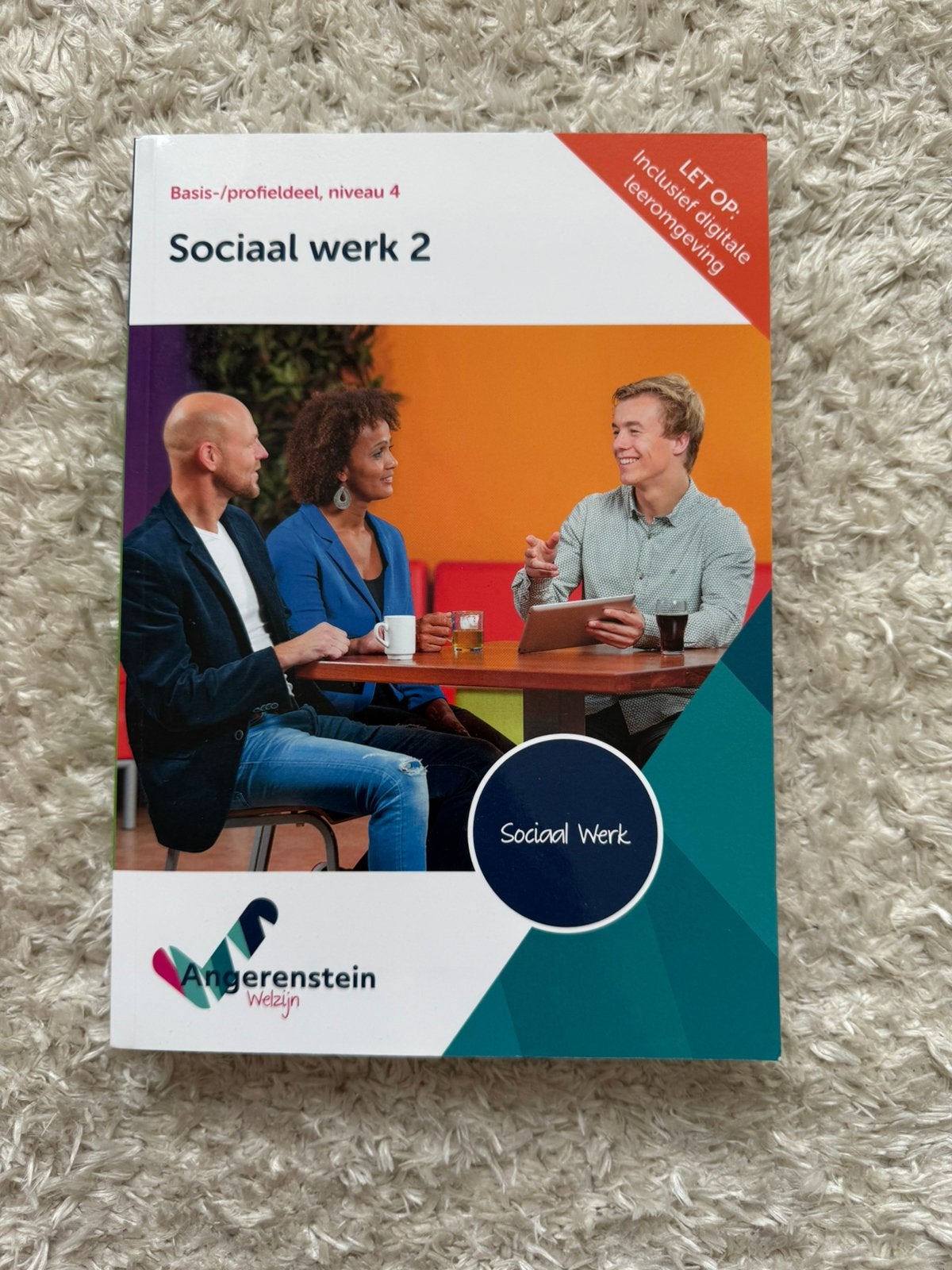 Sociaal werk boek 2, Boeken, Ophalen of Verzenden, Zo goed als nieuw, Overige niveaus, Nederlands