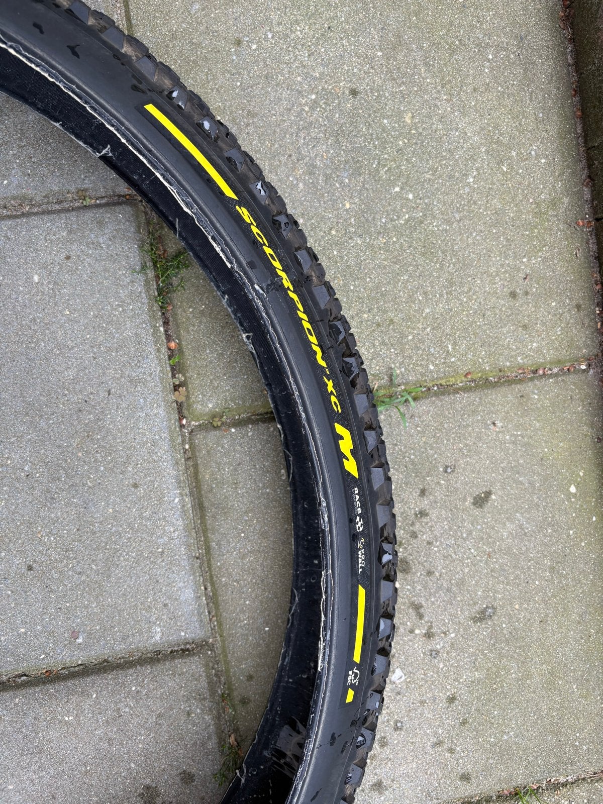 Pirelli Scorpion XC M 2.4 MTB band, Gebruikt, Band, Ophalen of Verzenden, Mountainbike