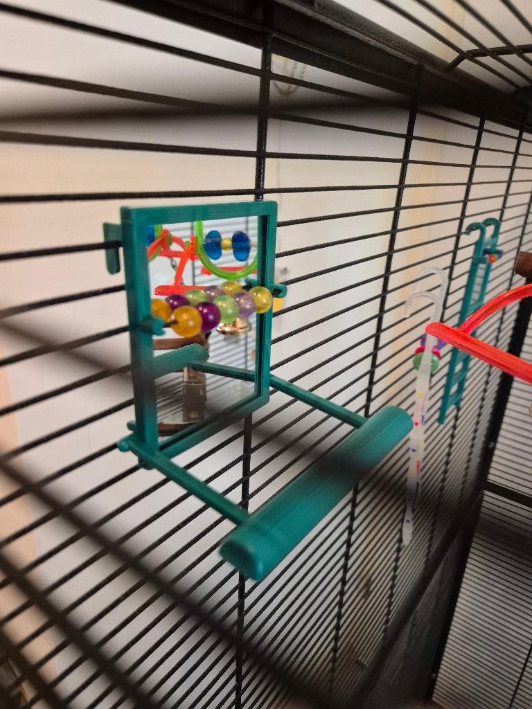 Groene zitje met spiegel en kralen, Dieren en Toebehoren, Ophalen of Verzenden, Zo goed als nieuw, Kooi-accessoires