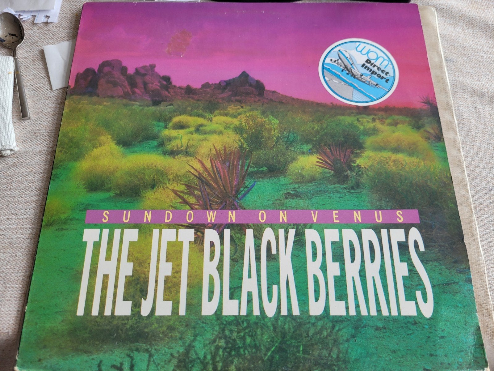 lp,The Jet Black Berries – Sundown On Venus, Ophalen of Verzenden, 12 inch, Poprock