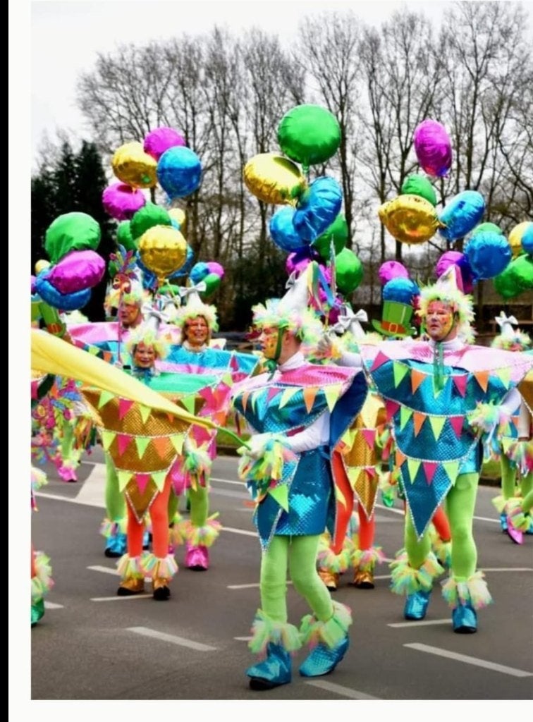Foto 2 van Carnavalskleding loopgroep optocht/stoet vlaggentjes pakken