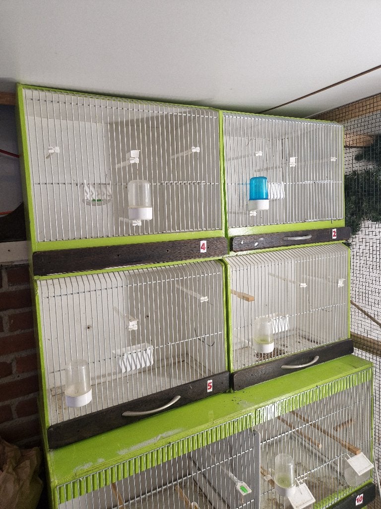 Te koop 7 mooie kooien, Ophalen, Zo goed als nieuw, Hout, Vogelkooi