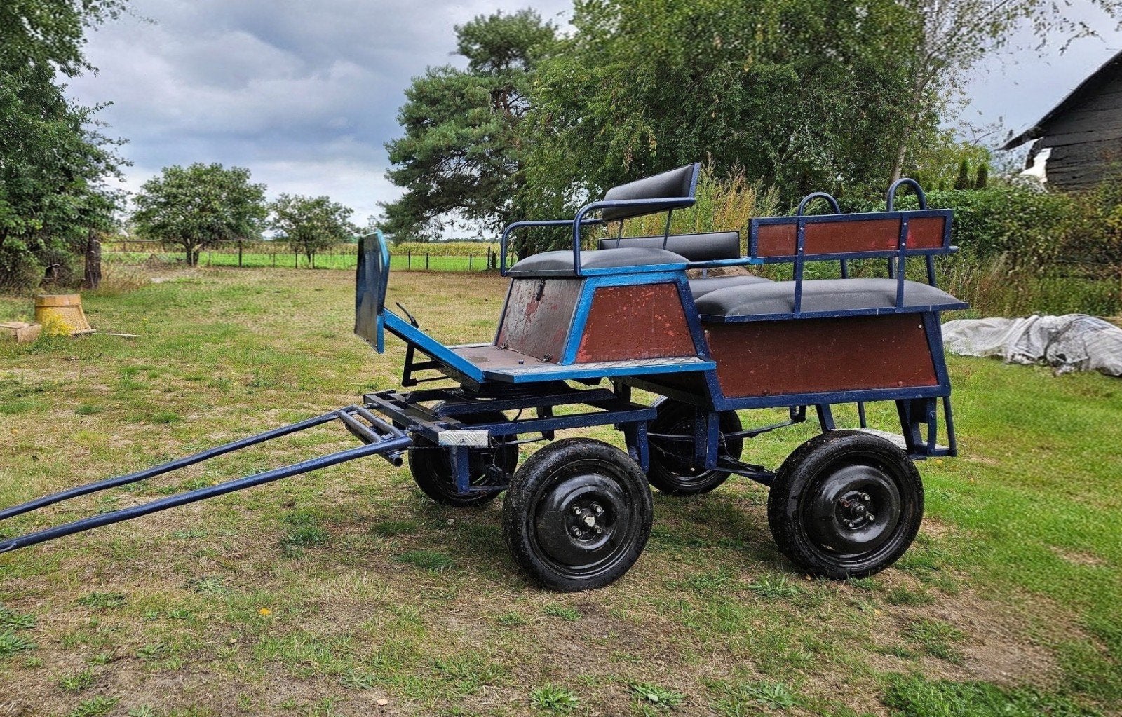 Recreatieve Menwagen, Dieren en Toebehoren, Gebruikt, Marathonwagen, Paard of Pony