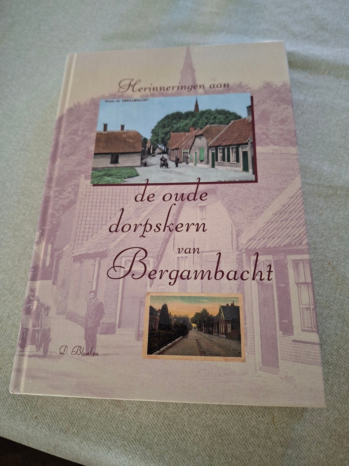 Herinneringen aan de oude dorpskern van Bergambacht, Ophalen of Verzenden, Gelezen