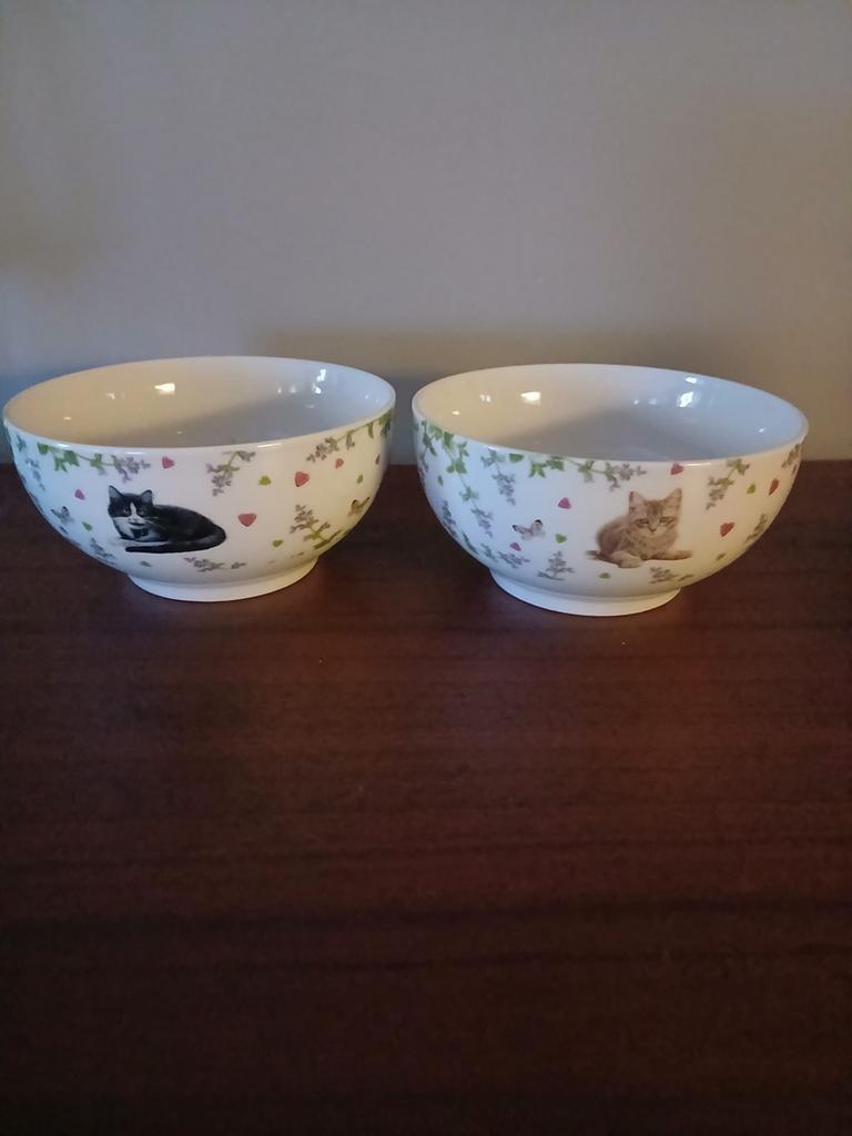 Set van twee Francien van Westering kommen met katten, Ophalen of Verzenden, Zo goed als nieuw, Overige stijlen, Kom(men)