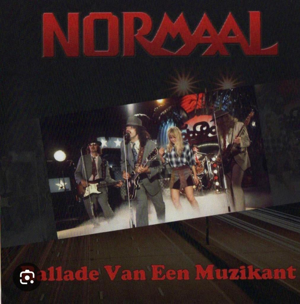 GEZOCHT Normaal - Ballade Van Een Muzikant, Ophalen of Verzenden, Zo goed als nieuw, Overige formaten, Poprock