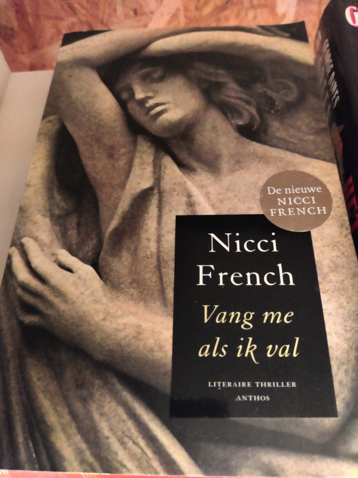 Nicci French - Vang me als ik val (Literaire thriller), Ophalen of Verzenden, Gelezen, Nicci French, Nederland