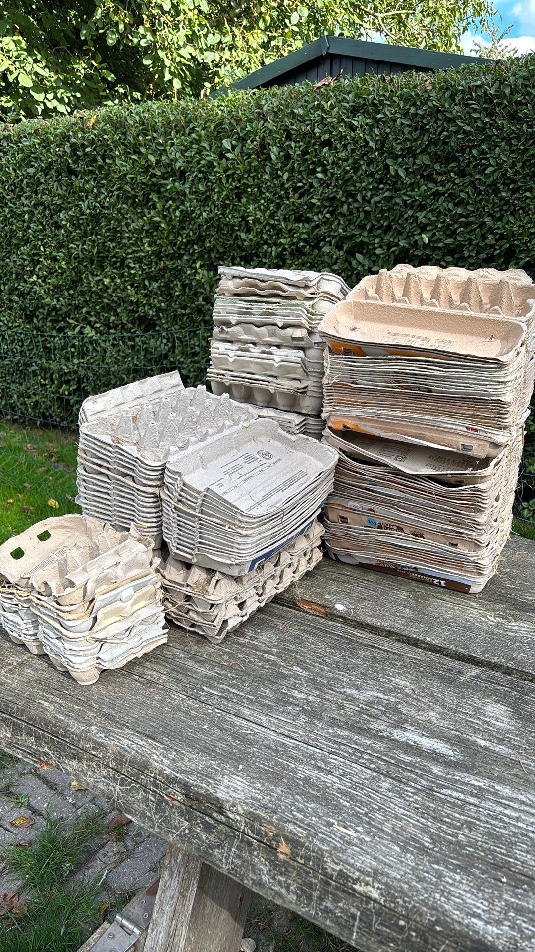 Eierdozen, Dieren en Toebehoren