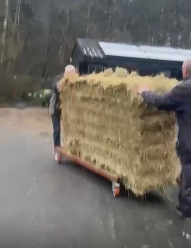Hooiwagen / Transportwagen voor balen hooi, Ophalen, Zo goed als nieuw, Overige soorten