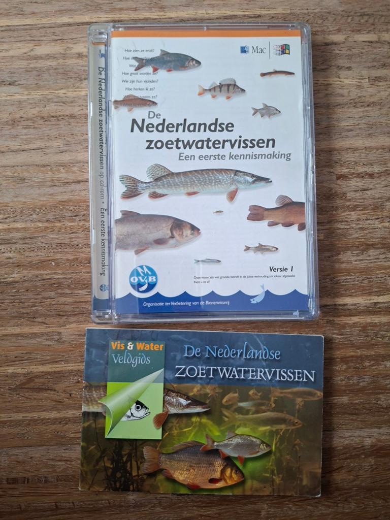 R. van Buggenum - versie 1.0, Ophalen of Verzenden, Zo goed als nieuw, R. van Buggenum