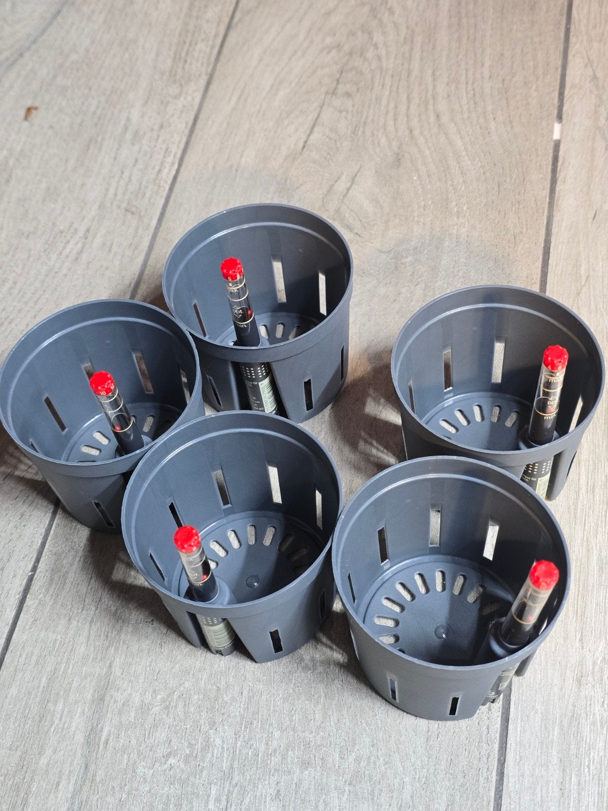 Leni Kweekpotjes Hydroponie met Waterstandindicator, Ophalen of Verzenden, Nieuw, Kweekbak