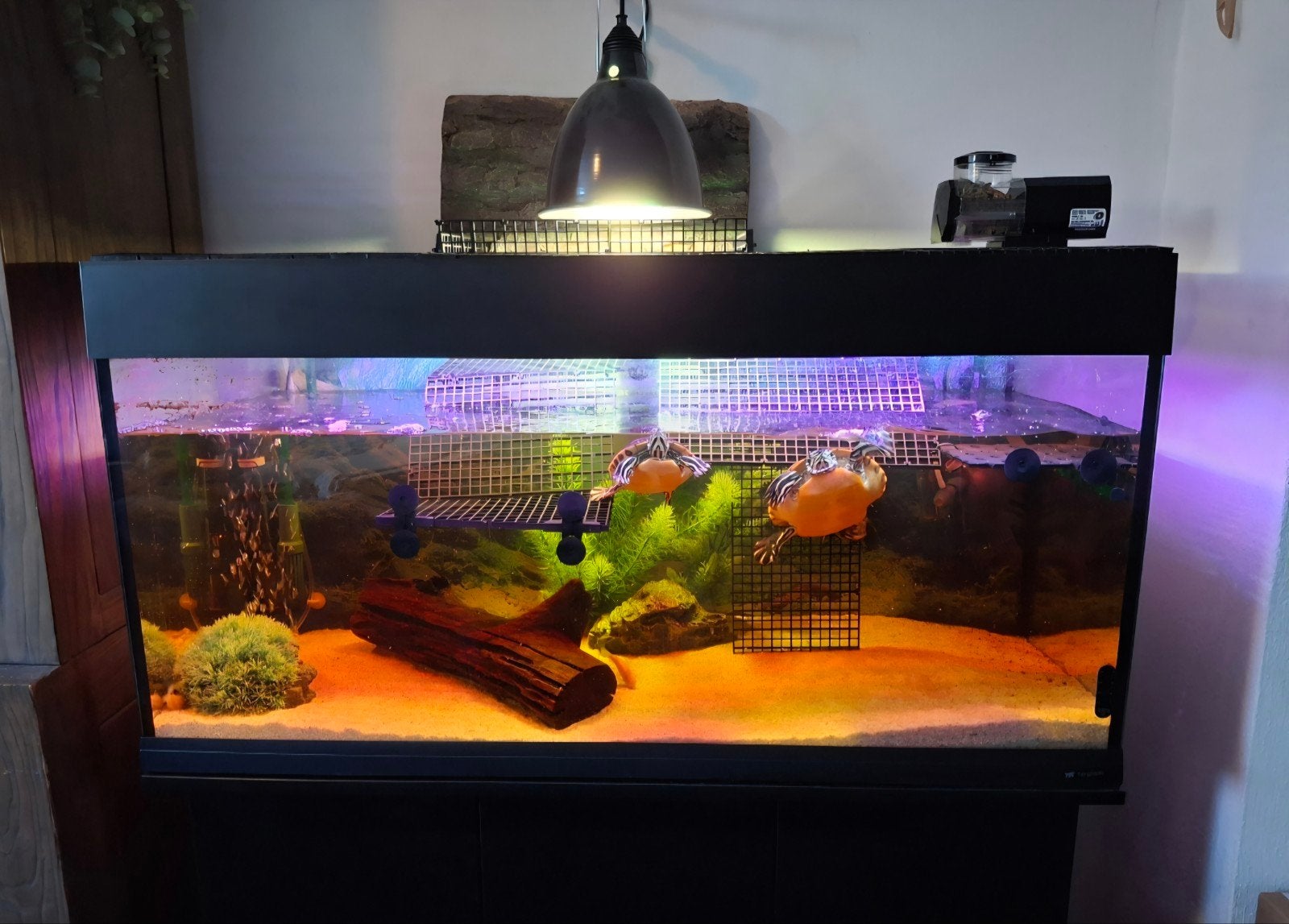 Ferplast Dubai 100, 180 liter aquarium zwart met kast, Dieren en Toebehoren, Ophalen, Gebruikt, Leeg aquarium