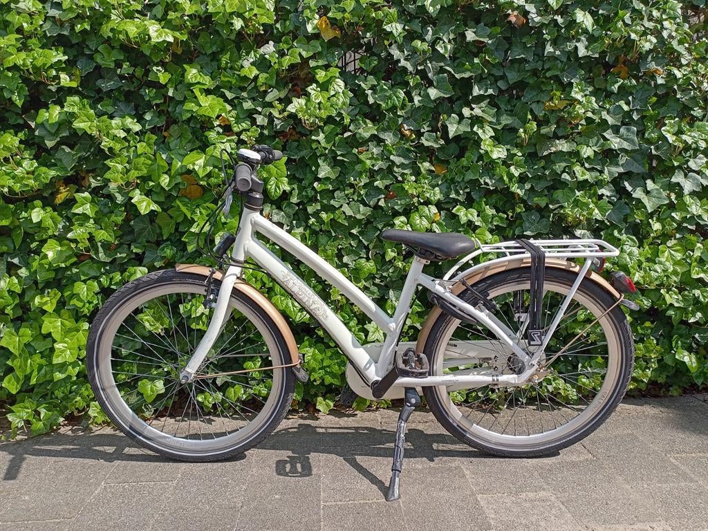 Alpina 24 inch fiets, Ophalen, Terugtraprem, Alpina, Gebruikt