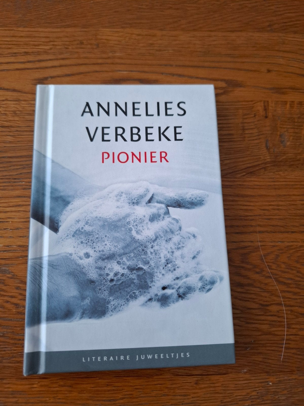 Annelies Verbeke - Pionier, Ophalen of Verzenden, Zo goed als nieuw, Annelies Verbeke
