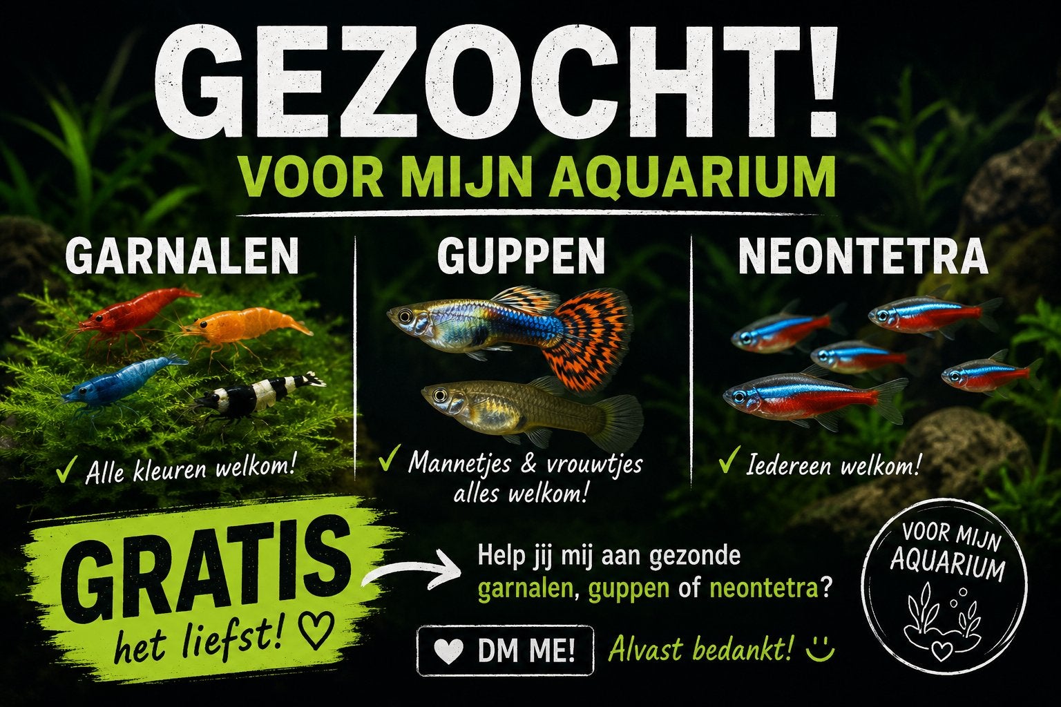 Gezocht, Vis