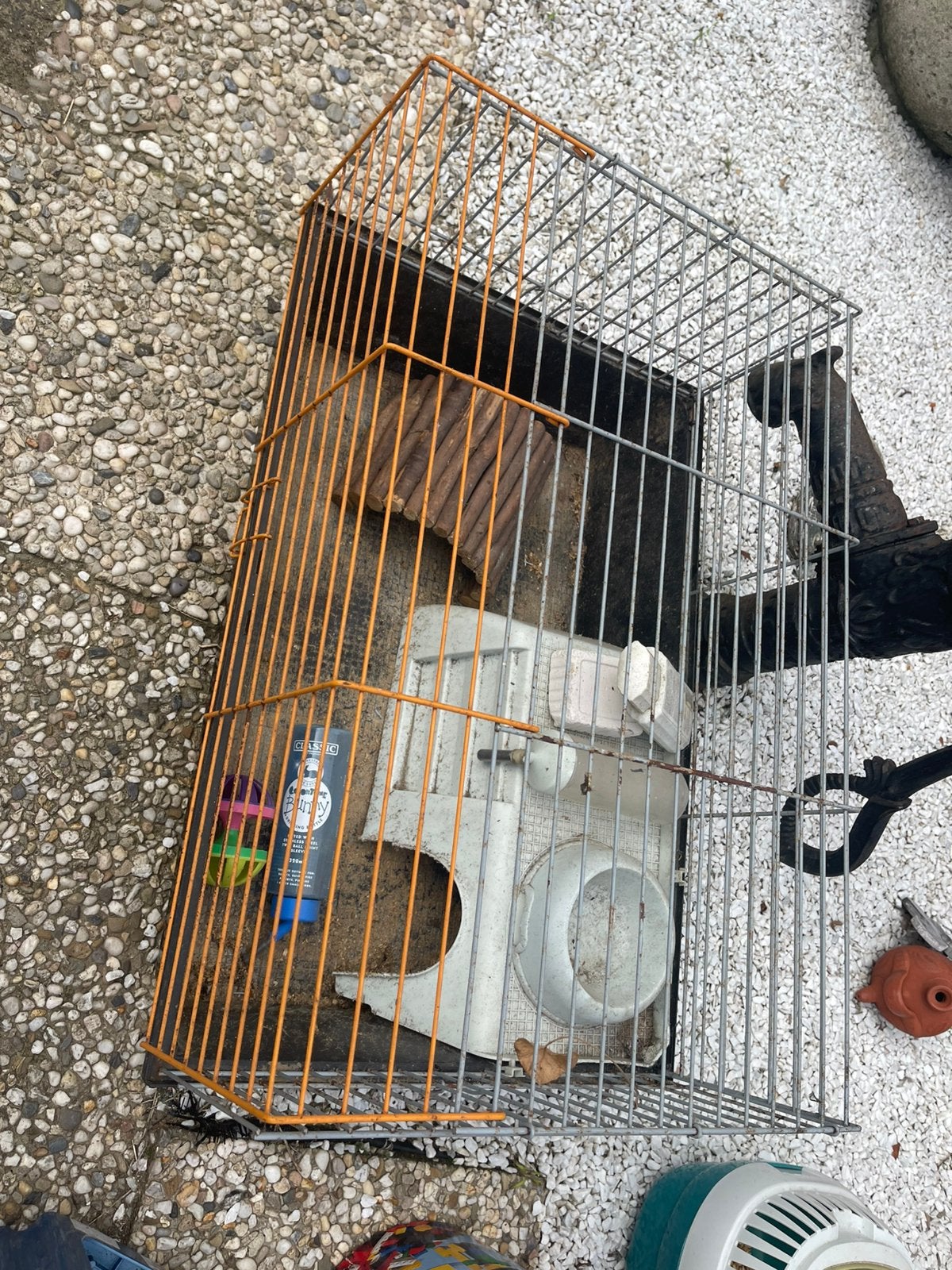 Moet je zien, Minder dan 75 cm, Zo goed als nieuw, Chinchilla, Ophalen
