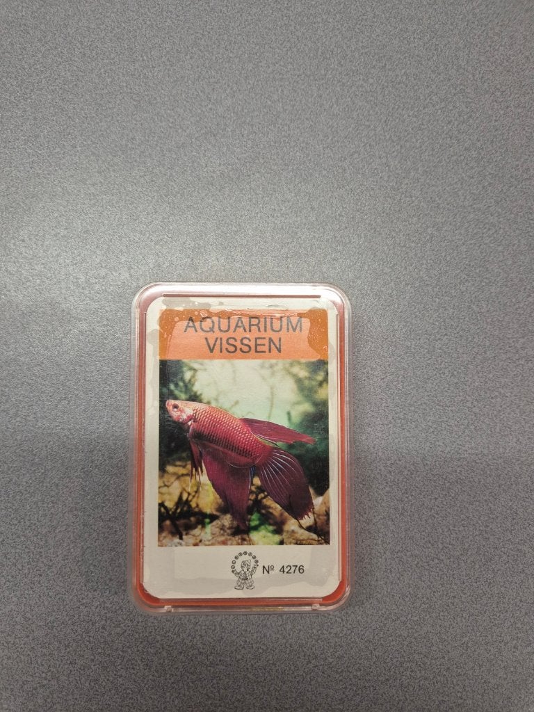 Aquarium Vissen Kwartet, Ophalen of Verzenden, Zo goed als nieuw, Kwartet(ten)
