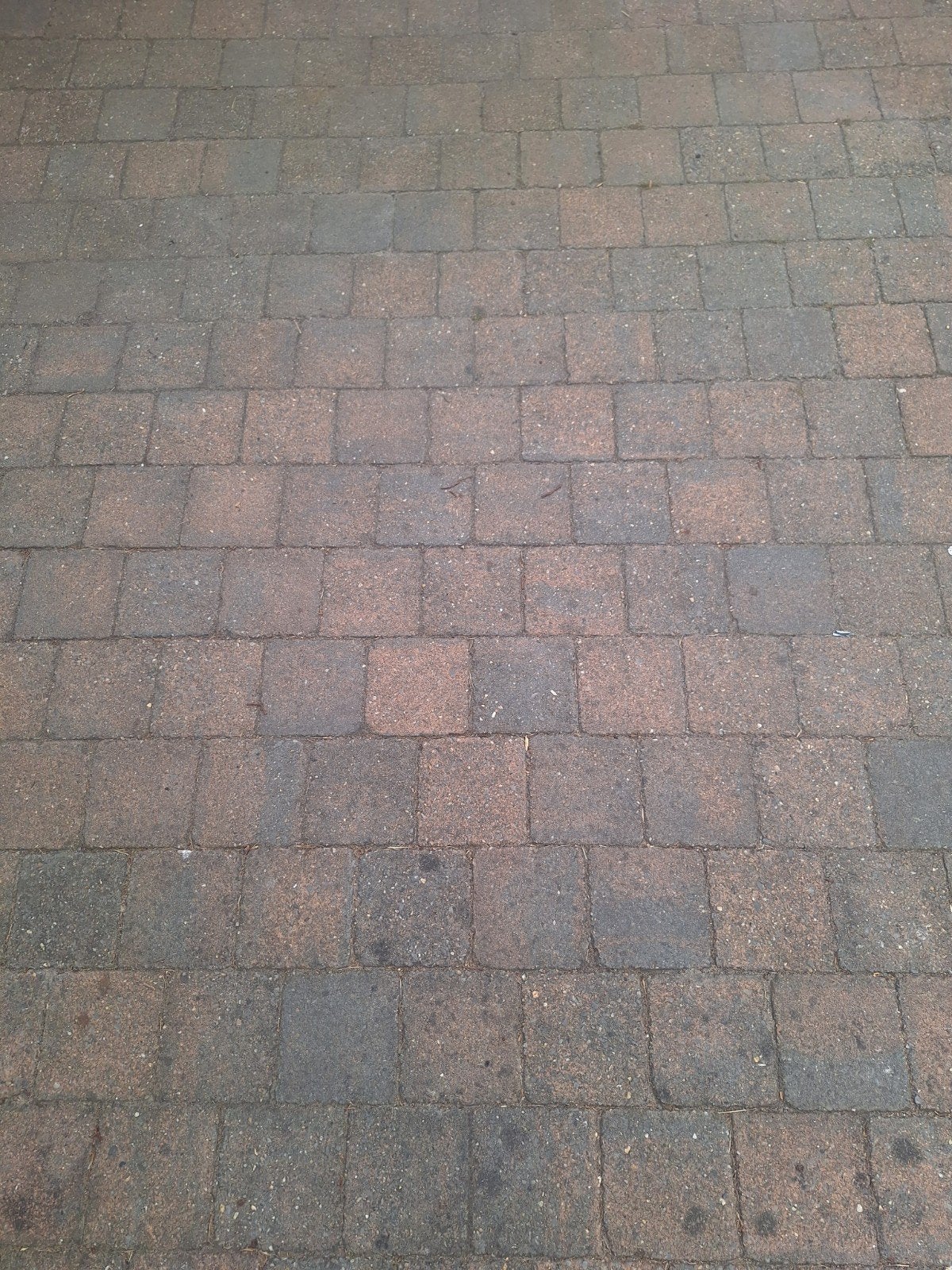 Gratis tegels, Ophalen, Gebruikt, Beton, Terrastegels