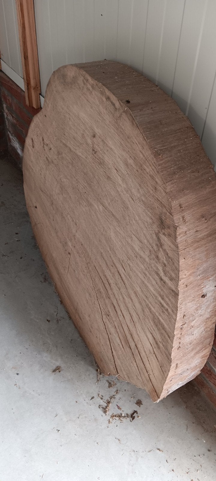 Grote boomschijf, Doe-het-zelf en Verbouw, Hout en Planken, Ophalen, Overige typen, Zo goed als nieuw, 50 mm of meer