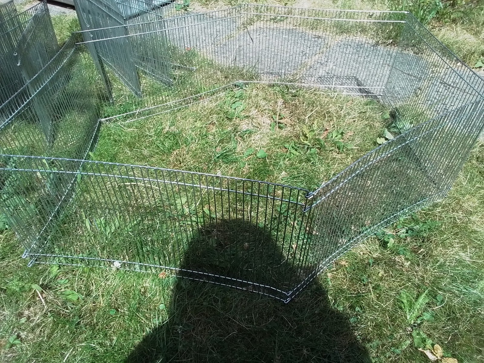 Ren; 4x Caviaren, omtrek > 10 meter, Dieren en Toebehoren, Knaagdieren en Konijnen | Hokken en Kooien, 110 cm of meer, Zo goed als nieuw