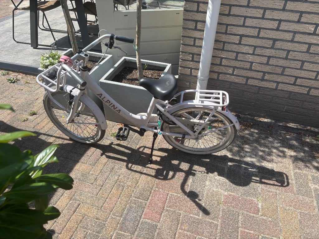 Alpina meisjesfiets 20 inch, Ophalen, Gebruikt, 20 inch