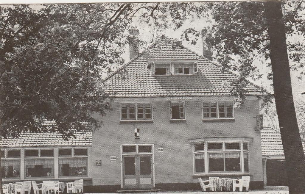 BARCHEM Hotel De Dolle Hoed, Verzenden, 1960 tot 1980, Gelopen, Gelderland