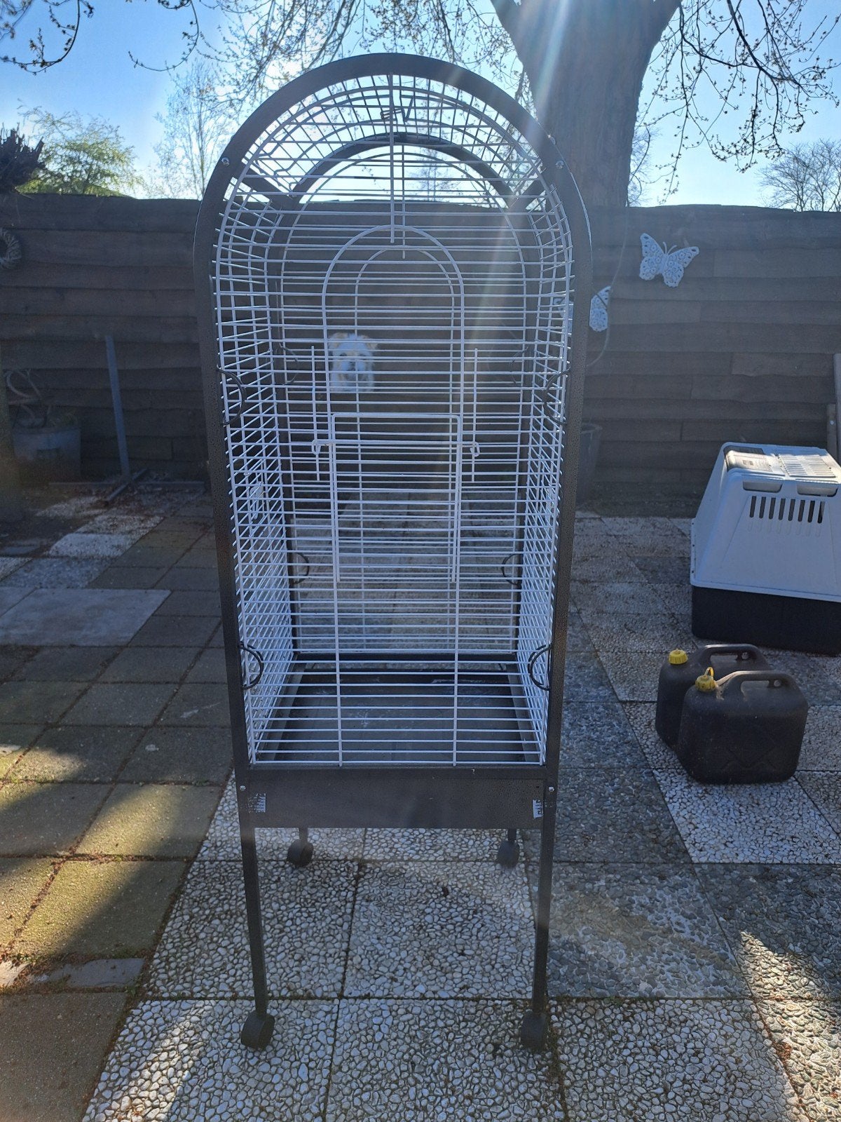 Papegaaienkooi incl stokken, Dieren en Toebehoren, Mannelijk, Papegaai